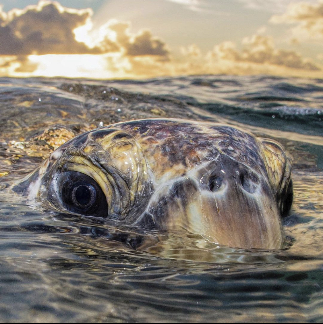 Schamanische Ausbildung - Reifung - Wasser ist Heilung